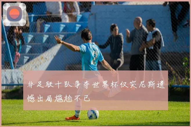 非足联十队争夺世界杯仅突尼斯遗憾出局尴尬不已