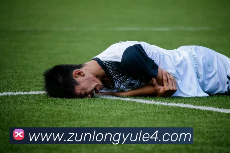 尊龙娱乐全站App